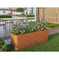 33% Rabatt ✓ 1 × 1 m | Hochbeet aus Cortenstahl 120x40x40 cm Unkategorisiert online kaufen