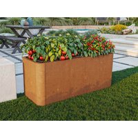 34% Rabatt ✓ 1 × 1 m | Hochbeet aus Cortenstahl 100x40x40 cm Unkategorisiert online kaufen
