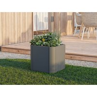 35% Rabatt ✓ 1 × 1 m | Hochbeet aus Stahl 40x40x40 cm, Matgerialstärke 2 mm Unkategorisiert online kaufen 35% Rabatt ✓ 1 × 1 m | Hochbeet aus Stahl 40x40x40 cm, Matgerialstärke 2 mm Unkategorisiert online kaufen