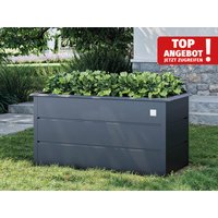 37% Rabatt ✓ 2 × 1 m | Stahlhochbeet 150x75x78 cm Anthrazit | Metall-Hochbeet mit Schneckenschutz Unkategorisiert online kaufen