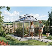 Gewächshaus 223x296 cm, 4 mm ESG, 2 Fenster, Einfachtür, MISTRAL 4, Gewächshaus Aluminium ideales Tomatenhaus und Gartenhaus Unkategorisiert online kaufen