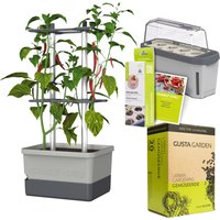 Gusta Garden Chili Starter-Set, Pflanzgefäß, Mini-Gewächshaus, Kokosquelltöpfen, Samen-Mix und Erde Unkategorisiert online kaufen