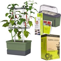 Gusta Garden Chili Starter-Set, Pflanzgefäß, Mini-Gewächshaus, Kokosquelltöpfen, Samen-Mix und Erde Unkategorisiert Produktbild