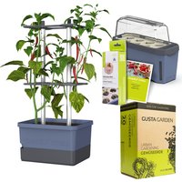 Gusta Garden Chili Starter-Set, Pflanzgefäß, Mini-Gewächshaus, Kokosquelltöpfen, Samen-Mix und Erde Unkategorisiert Produktbild Gusta Garden Chili Starter-Set, Pflanzgefäß, Mini-Gewächshaus, Kokosquelltöpfen, Samen-Mix und Erde Unkategorisiert Produktbild