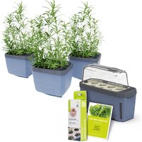 Gusta Garden Stadtkräutergarten, 3 Kräutertöpfe, Mini-Gewächshaus, Kokosquelltöpfen, Samen-Mix und Erde Unkategorisiert online kaufen Gusta Garden Stadtkräutergarten, 3 Kräutertöpfe, Mini-Gewächshaus, Kokosquelltöpfen, Samen-Mix und Erde Unkategorisiert online kaufen