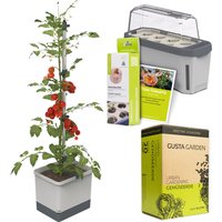 Gusta Garden Tomaten Starter-Set, Pflanzgefäß, Mini-Gewächshaus, Kokosquelltöpfen, Samen-Mix und Erde Unkategorisiert Produktbild