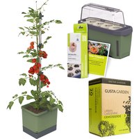 Gusta Garden Tomaten Starter-Set, Pflanzgefäß, Mini-Gewächshaus, Kokosquelltöpfen, Samen-Mix und Erde Unkategorisiert online kaufen
