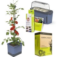 Gusta Garden Tomaten Starter-Set, Pflanzgefäß, Mini-Gewächshaus, Kokosquelltöpfen, Samen-Mix und Erde Unkategorisiert online kaufen