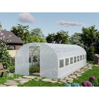 TOOLPORT 3x8m Foliengewächshaus, PE-Plane, weiß - (8947) online kaufen