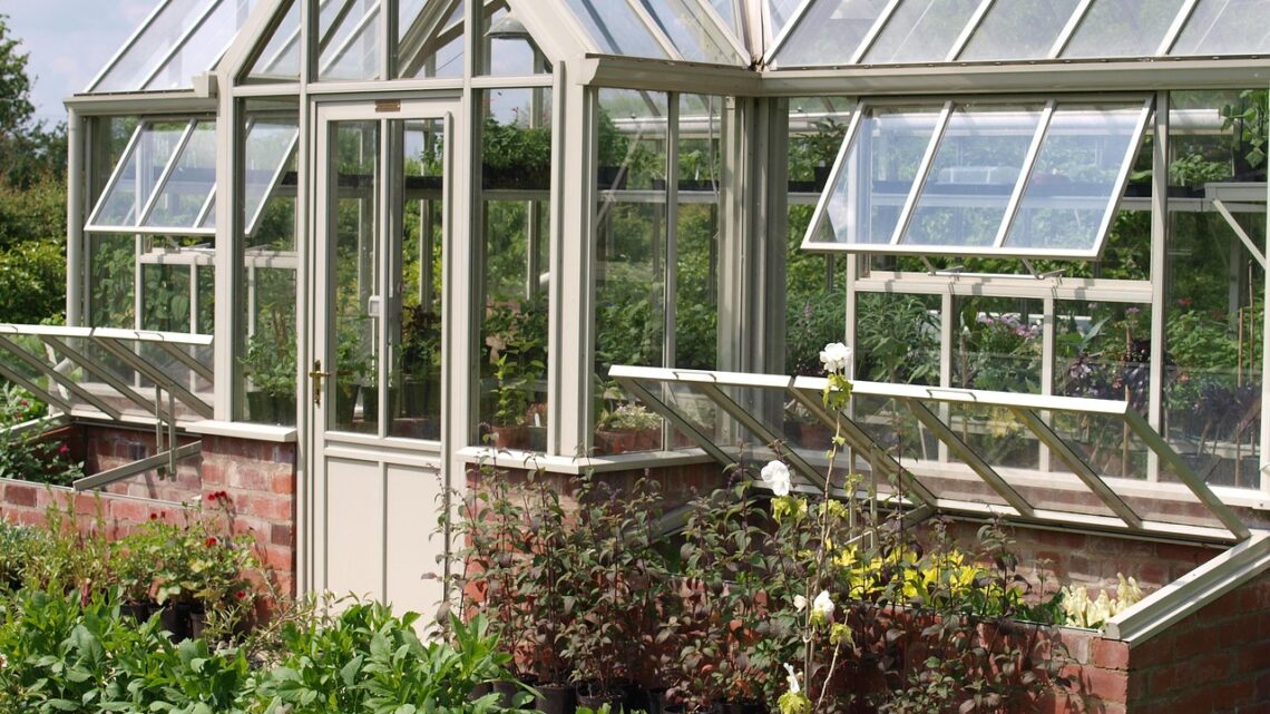 Gewächshaus im Garten und auf dem Grundstück – was man wissen sollte Gewächshaus im Garten und auf dem Grundstück – was man wissen sollte