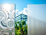 Glas oder Polycarbonat fürs Gewächshaus richtig wählen