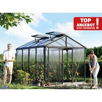 Gewächshaus 235x311 cm, 16 mm, 2 Fenster, Einfachtür, ROYAL, Gewächshaus Aluminium ideales Tomatenhaus und Gartenhaus
