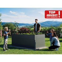 Hochbeet - Alu  195x99x77 cm, Made in Austria, wartungsfrei,  mit Frühbeet erh., Hochbeet Bausatz, Hochbeet Metall, Hochbeet Aluminium