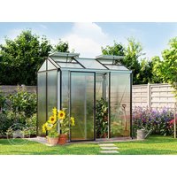 GFP 161 x 235 cm Gewächshaus, Standardfarbe Aluminium Natur | Aktionsset - Profi 2 - (GFPV00145)