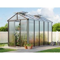GFP 199 x 324 cm Gewächshaus, Standardfarbe Aluminium Natur | Aktionsset - Profi 2 - (GFPV00139)