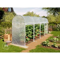 TOOLPORT 1x6m Tomaten-Foliengewächshaus, PE-Plane, weiß - (9044)